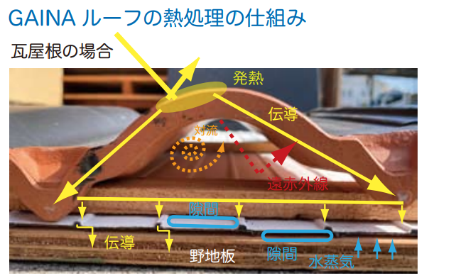 ガイナルーフの形状